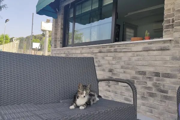 Forbes Veteriner Kliniği - Resim 7