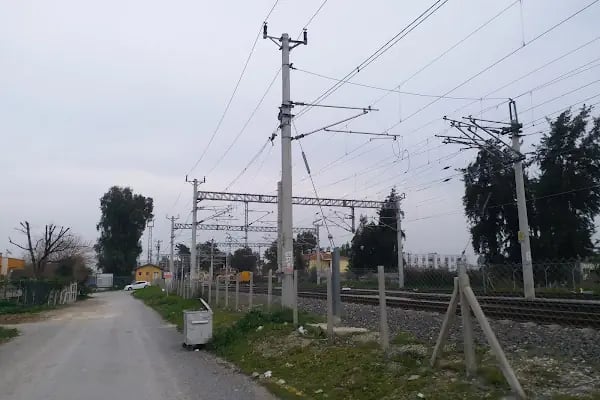 Yenice Garı - Resim 18