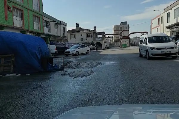 Nizip Beledyesi Fıstık Hali - Resim 6