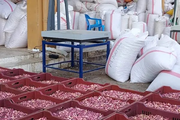 Nizip Beledyesi Fıstık Hali - Resim 14