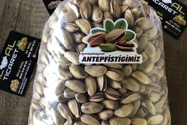 Nizip Beledyesi Fıstık Hali - Resim 7