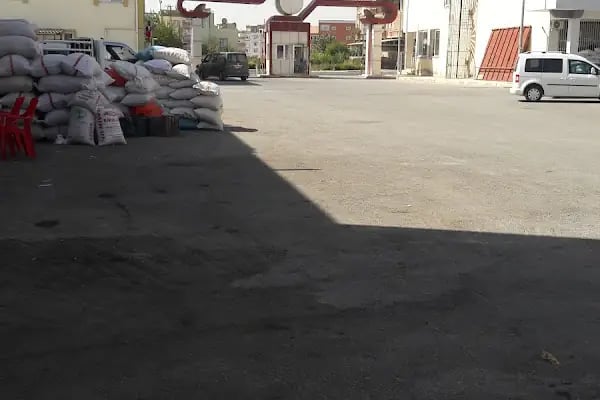 Nizip Beledyesi Fıstık Hali - Resim 9