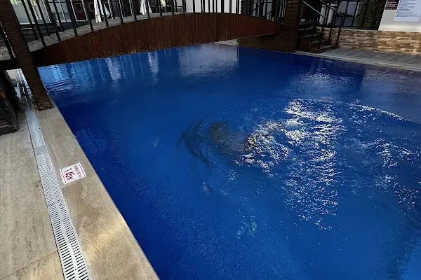 Dolphin Park Hotel - Resim 20