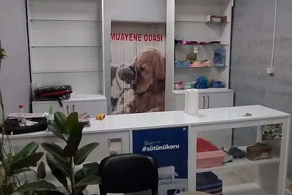 Yaşam Veteriner Kliniği - Resim 19