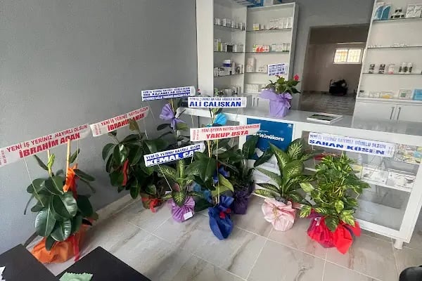 Yaşam Veteriner Kliniği - Resim 8