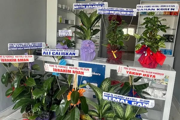 Yaşam Veteriner Kliniği - Resim 13