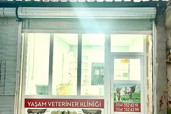 Yaşam Veteriner Kliniği - Resim 7