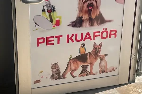 Yaşam Veteriner Kliniği - Resim 2