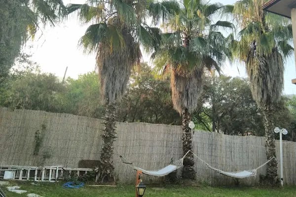 Pisilis Otel - Resim 6