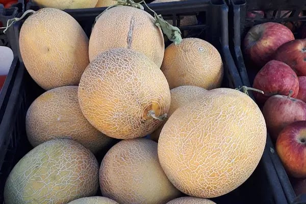 Hatay Yöresel Gıda Pazarı - Resim 9