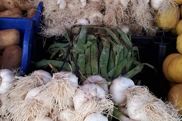 Hatay Yöresel Gıda Pazarı - Resim 8