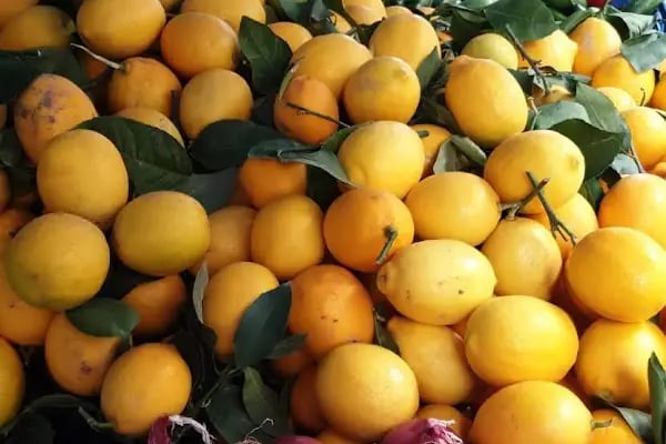 Hatay Yöresel Gıda Pazarı - Resim 14