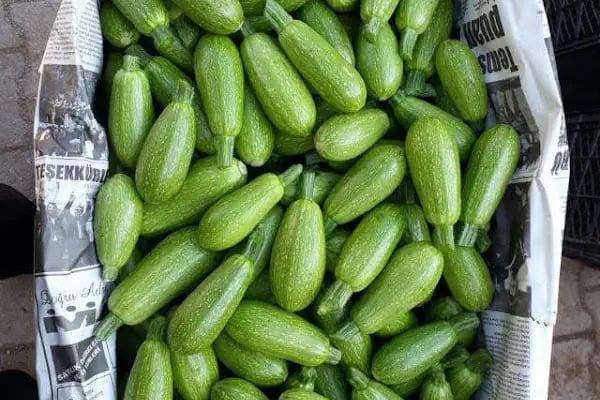 Hatay Yöresel Gıda Pazarı - Resim 6