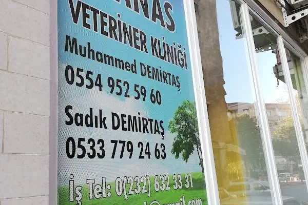 MANAS VETERİNER KLİNİĞİ - Resim 3