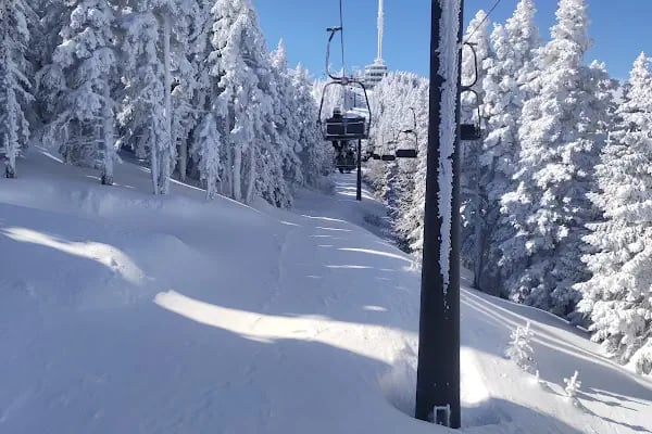 Uludağ Kayak Eğitim Ve Kamp Merkezi - Resim 3