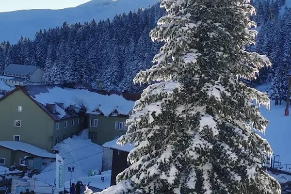 Uludağ Kayak Eğitim Ve Kamp Merkezi - Resim 7