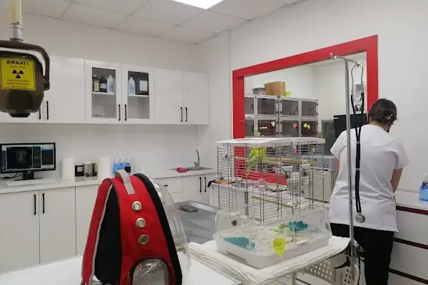 Kuş Veteriner Kliniği - Resim 20