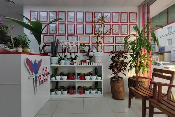 Kuş Veteriner Kliniği - Resim 3