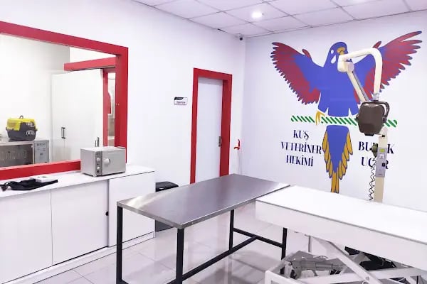 Kuş Veteriner Kliniği - Resim 11