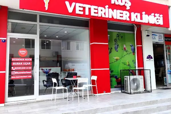 Kuş Veteriner Kliniği - Resim 2
