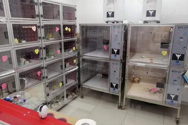 Kuş Veteriner Kliniği - Resim 19