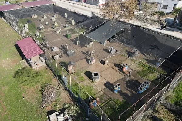 Zula Paintball Regülatör Köprü Civarı - Resim 20