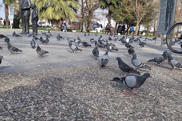 Yalova Valiliği - Resim 4