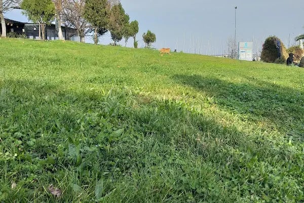 Yalova Valiliği - Resim 8
