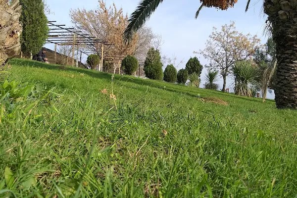 Yalova Valiliği - Resim 19