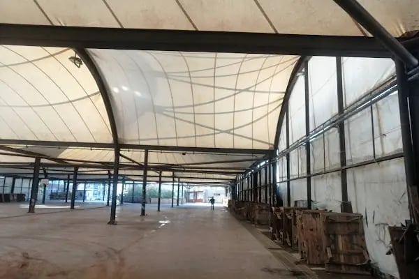 Avcılar Belediyesi Ambarlı Semt Pazarı - Resim 7