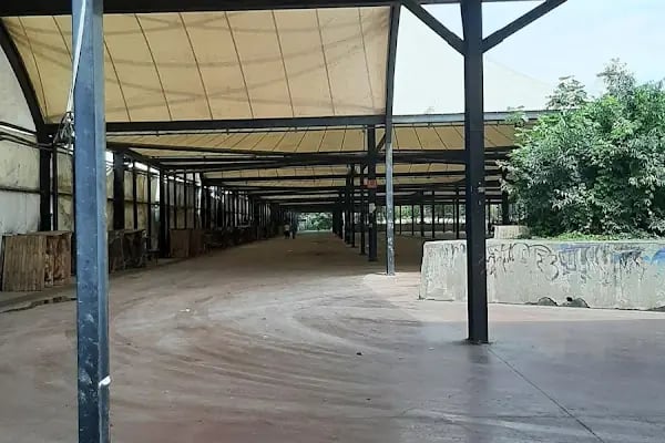 Avcılar Belediyesi Ambarlı Semt Pazarı - Resim 9