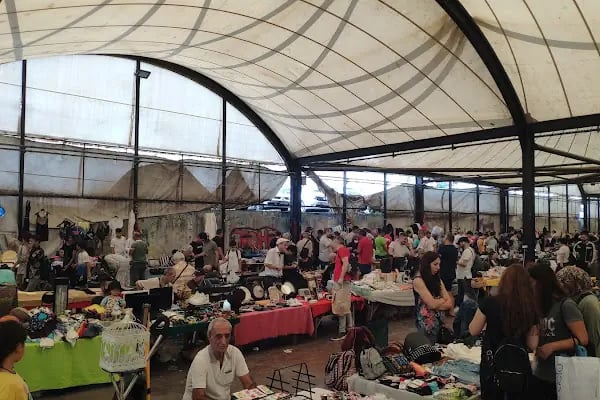 Avcılar Belediyesi Ambarlı Semt Pazarı - Resim 14