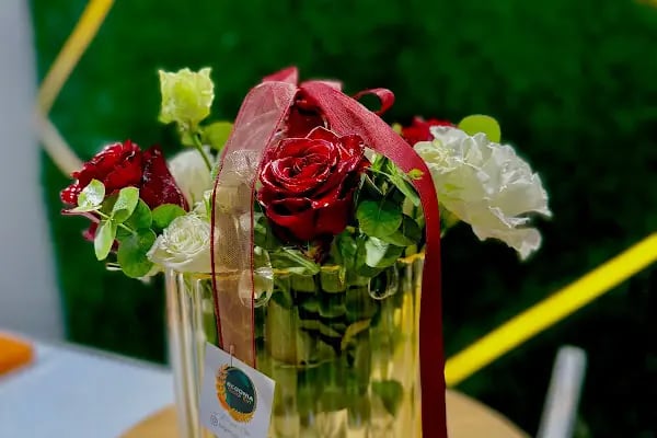 Begonia Çiçek Evi Çiçekçi - Resim 11