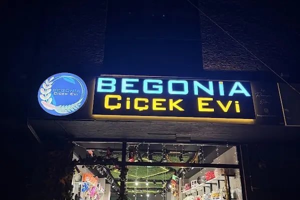 Begonia Çiçek Evi Çiçekçi - Resim 15