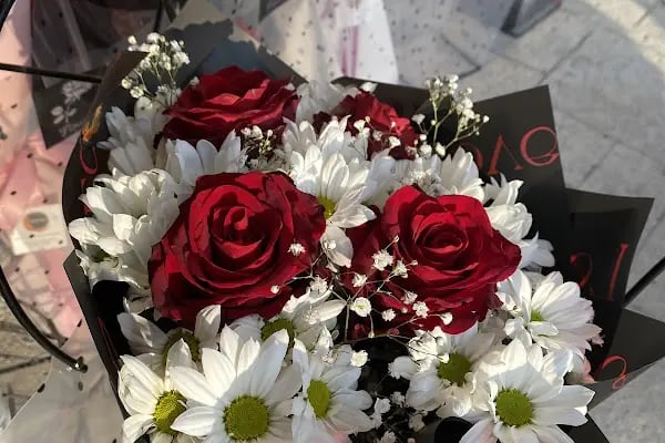 Begonia Çiçek Evi Çiçekçi - Resim 14