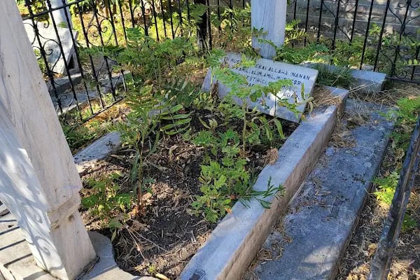 Oruç Baba Türbesi - Resim 16