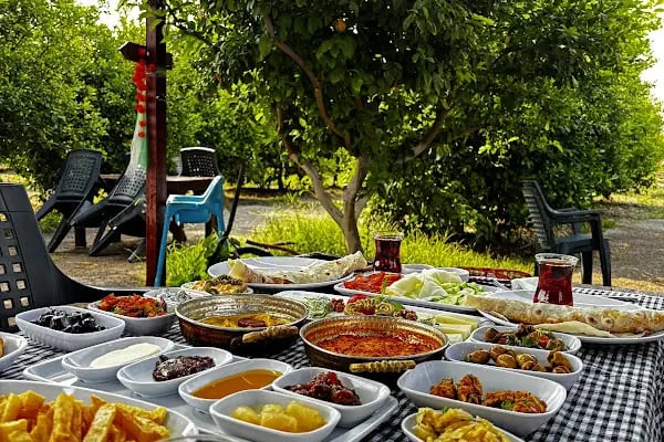 Ağba Çiftliği - Resim 4