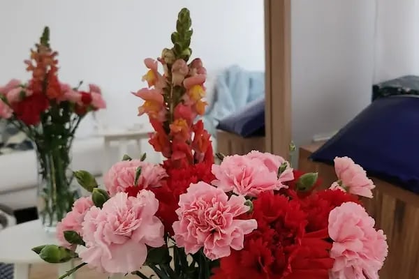 Kocaman Çiçek evi - Resim 4