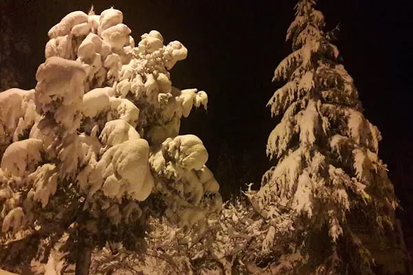 Aladağ Otel - Resim 16