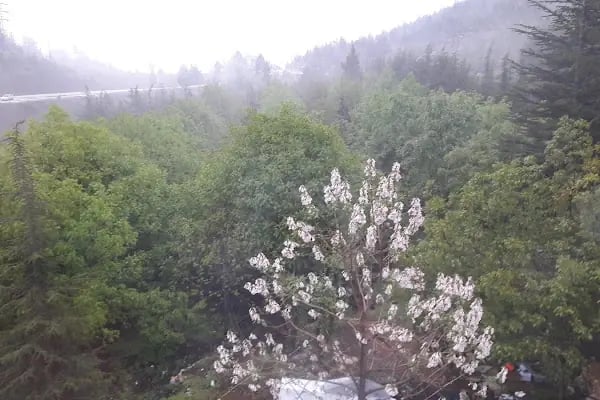 Aladağ Otel - Resim 15