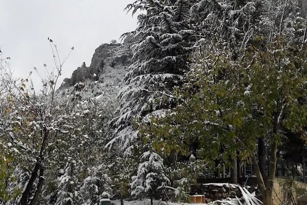 Aladağ Otel - Resim 11