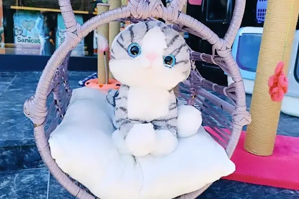 Pet Butik 41 - Resim 11