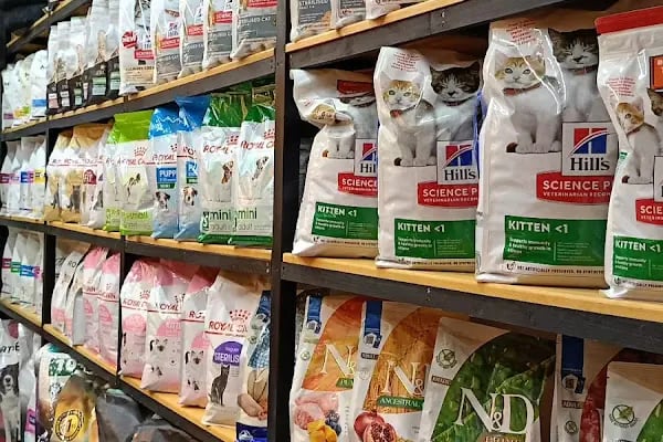 Pet Butik 41 - Resim 12