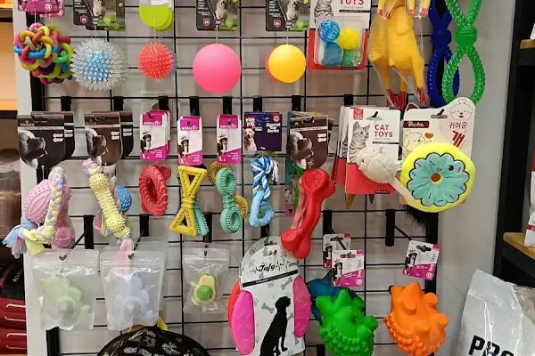 Pet Butik 41 - Resim 19