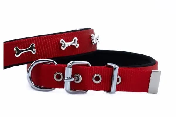 Pet Butik 41 - Resim 18