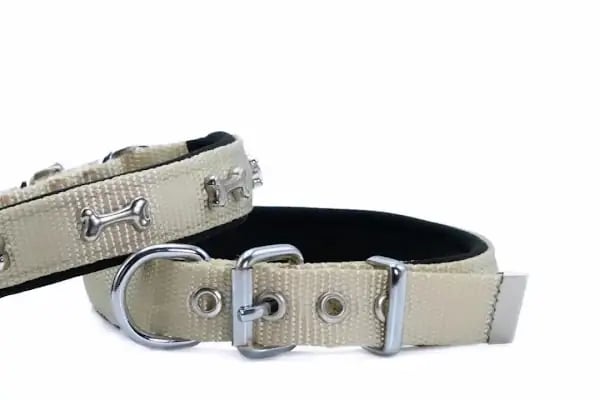 Pet Butik 41 - Resim 15