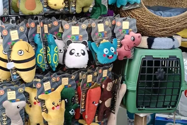 Pet Butik 41 - Resim 9