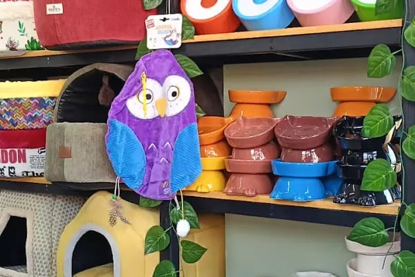 Pet Butik 41 - Resim 6