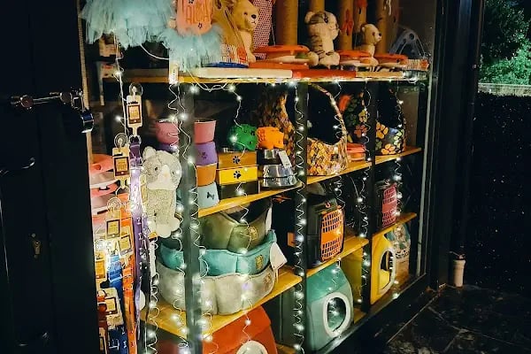 Pet Butik 41 - Resim 2