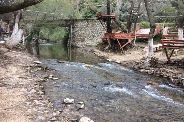 Dere Alabalık - Resim 20